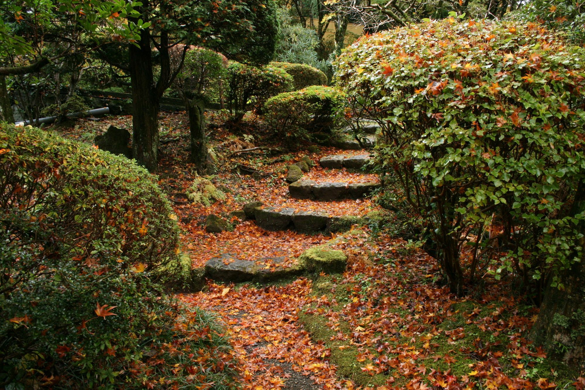 Senkyoro Hotel Hakone Kültér fotó