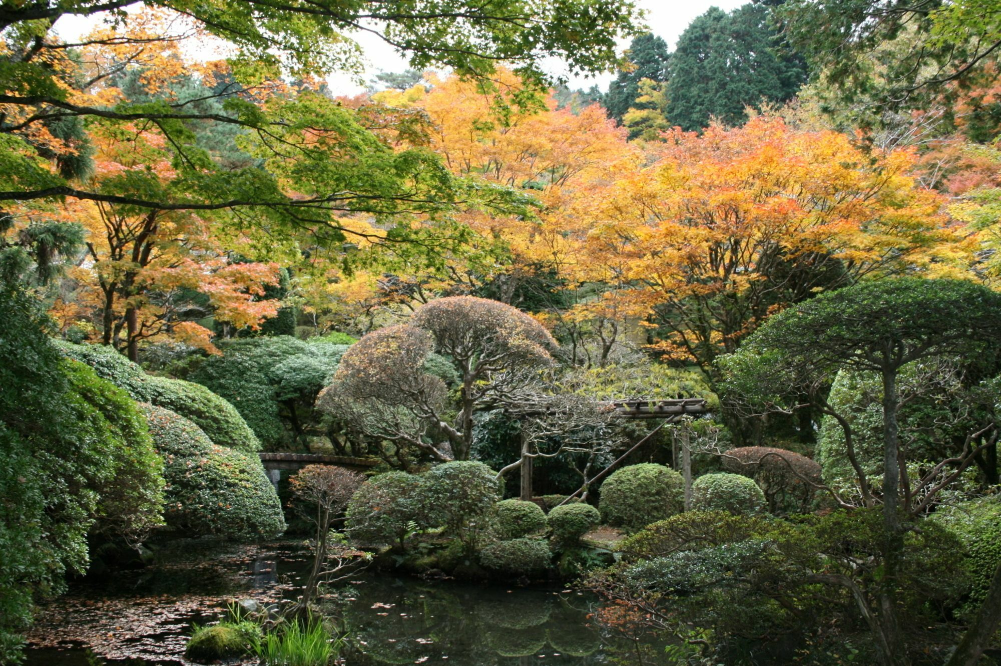 Senkyoro Hotel Hakone Kültér fotó