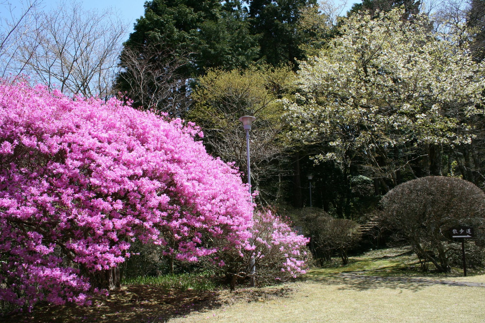 Senkyoro Hotel Hakone Kültér fotó